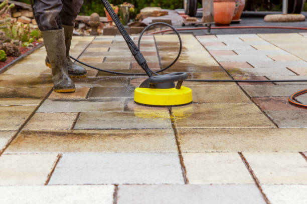 Best Solar Panel Cleaning  in Allegan, MI